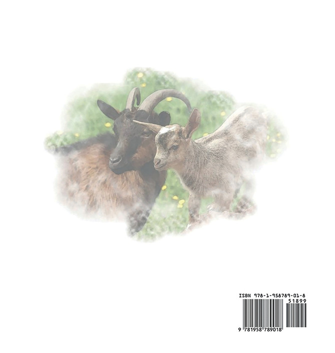 100 Goats for Layaye