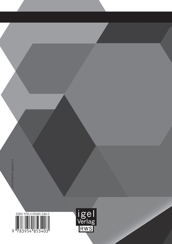 Die Finanzmarktkrise und das Strafrecht