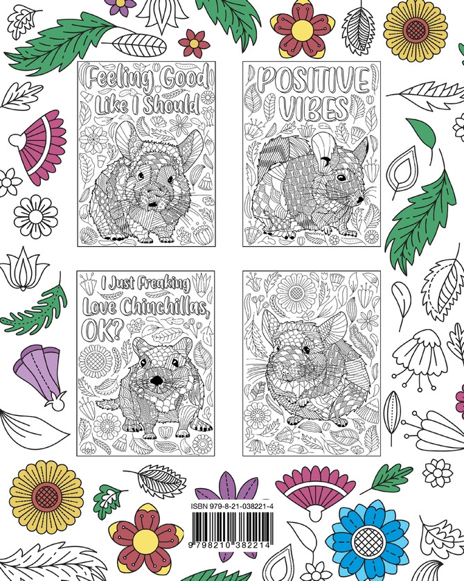 Chinchilla Coloring Book