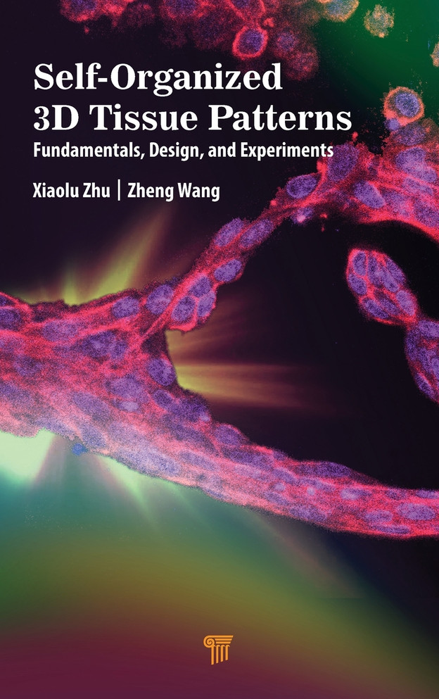 Self-Organized 3D Tissue Patterns