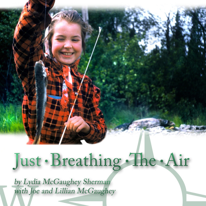 Just Breathing the Air