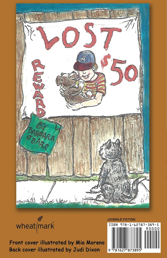 Pet Boy! Where Are You?