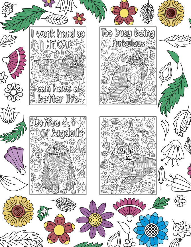 Ragdoll Coloring Book