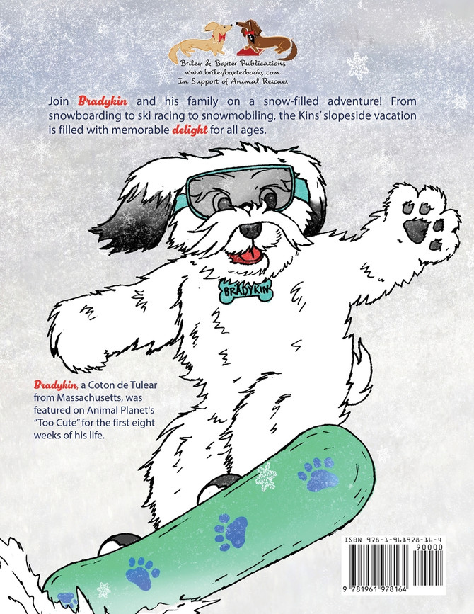 Bradykin's Snowy Adventure