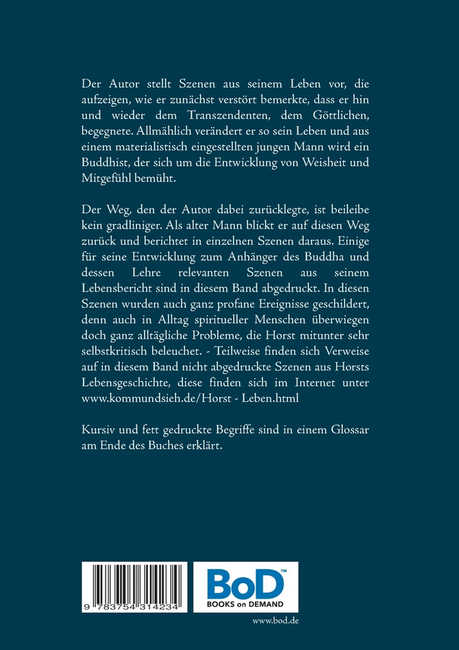 Begegnungen mit dem Transzendenten