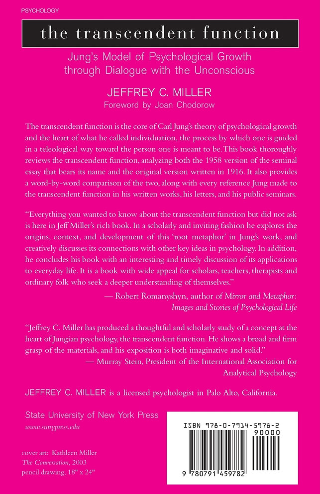 The Transcendent Function