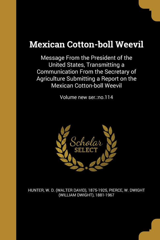 Mexican Cotton-boll Weevil