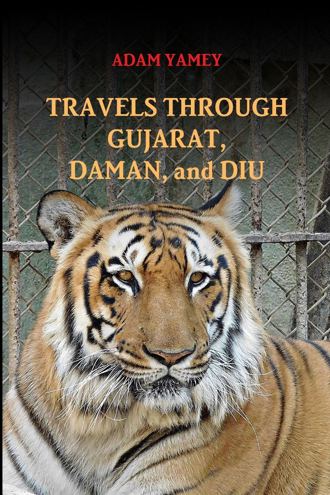 TRAVELS THROUGH GUJARAT, DAMAN, AND DIU