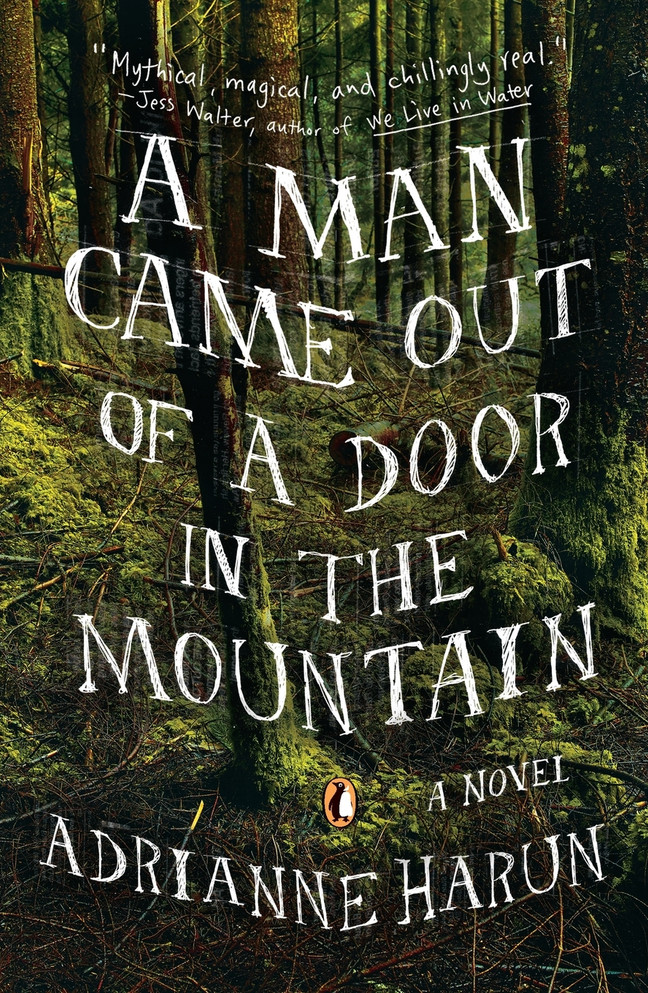 A Man Came Out of a Door in the Mountain