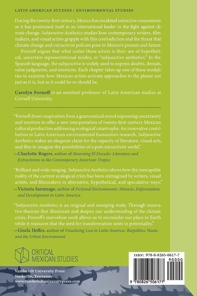 Subjunctive Aesthetics