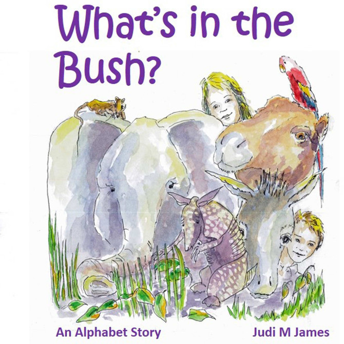 What is in the Bush?