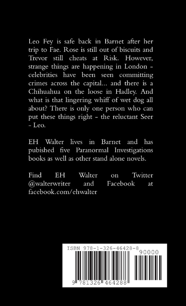 Paranormal Investigations 5