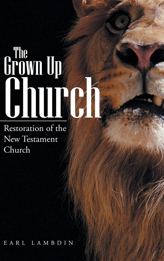 The Grown Up Church