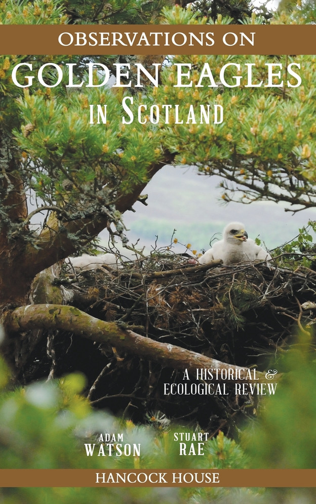 Observations of Golden Eagles in Scotland