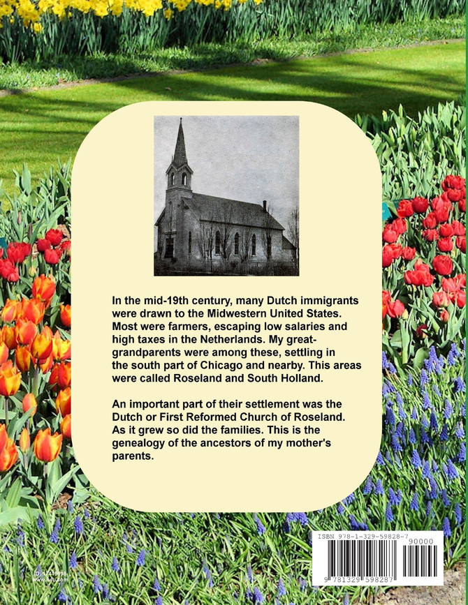 From Zuid-Holland to South Holland