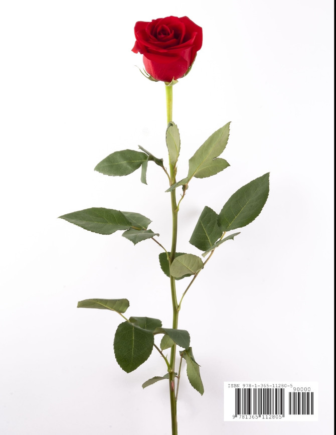 The Fairy Queen And The Bees