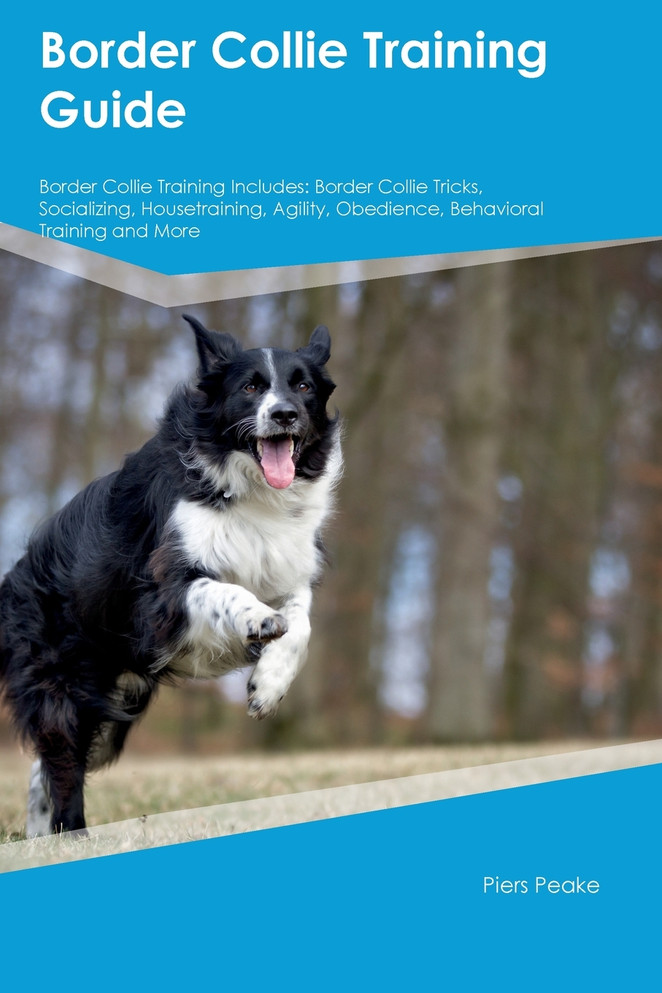 Border Collie Training Guide  Border Collie Training Includes