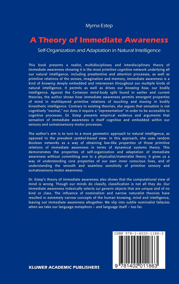 A Theory of Immediate Awareness