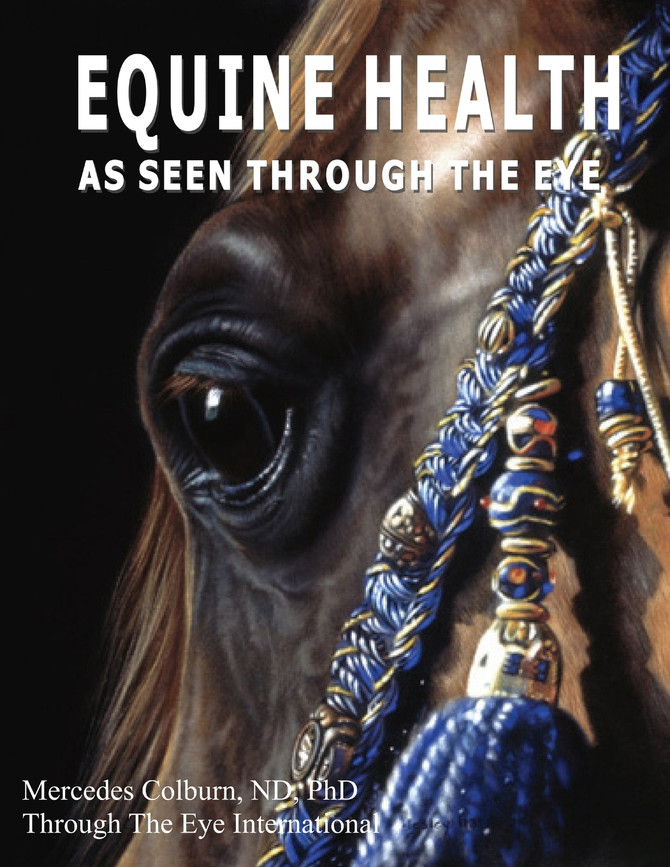 Equine Health - As seen through the eye
