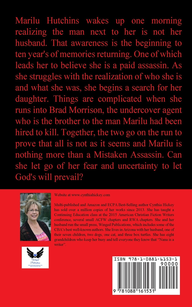 Mistaken Assassin