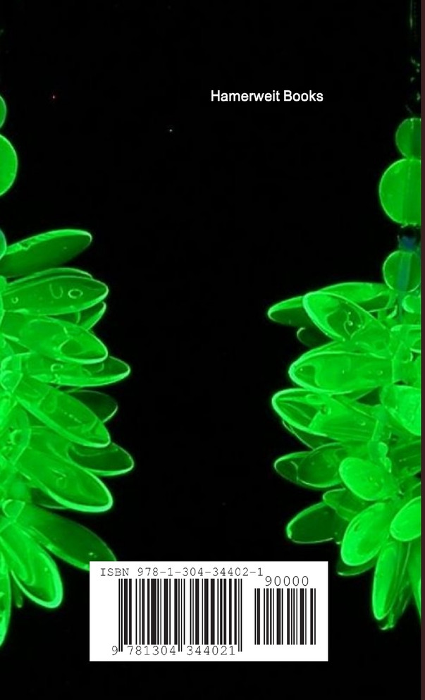 Looking at Art and Artifacts