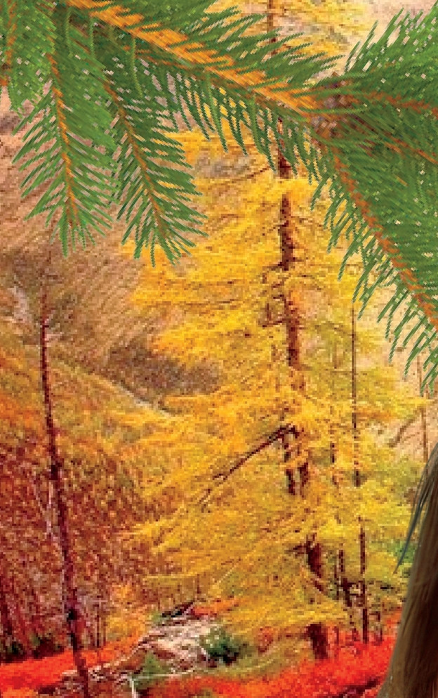 ALTE WEISHEIT - MODERNE HEILUNG