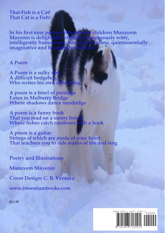 That Fish is a Cat! That Cat is a Fish!