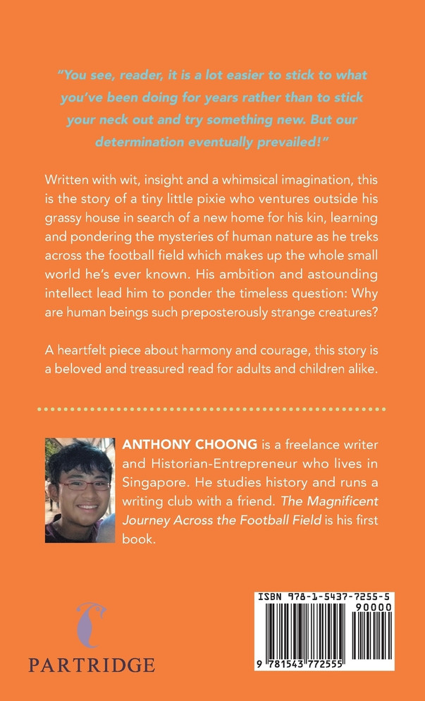 The Magnificent Journey Across the Football Field