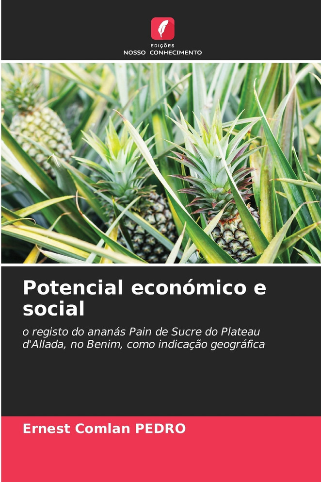 Potencial económico e social