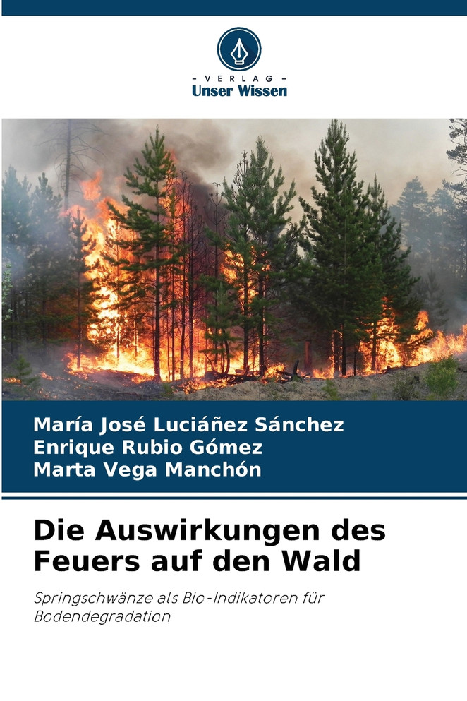 Die Auswirkungen des Feuers auf den Wald