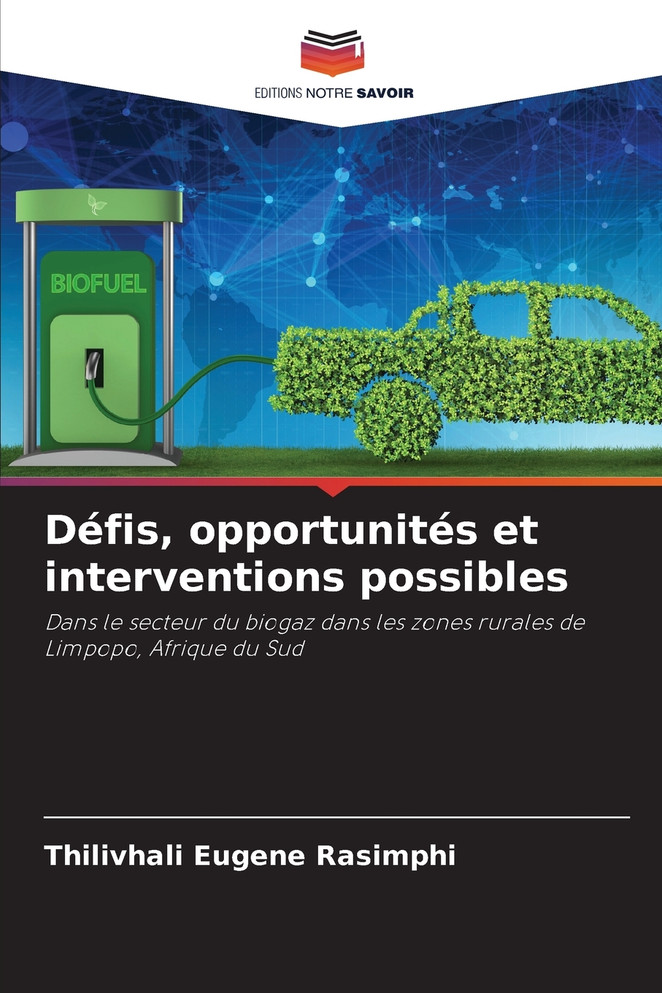 Défis, opportunités et interventions possibles