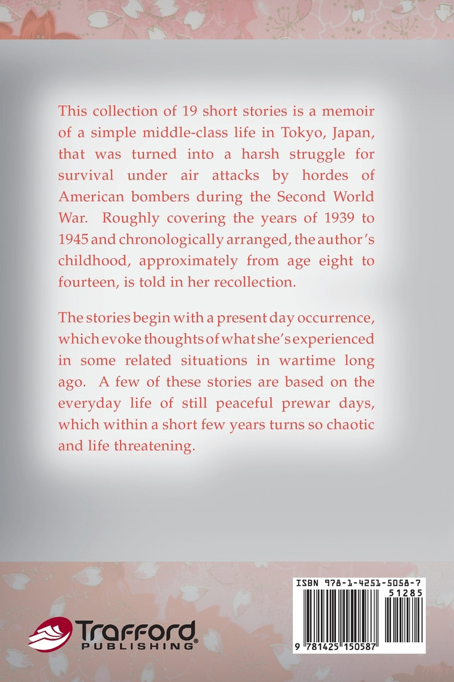 Shadow of a Monster Plane