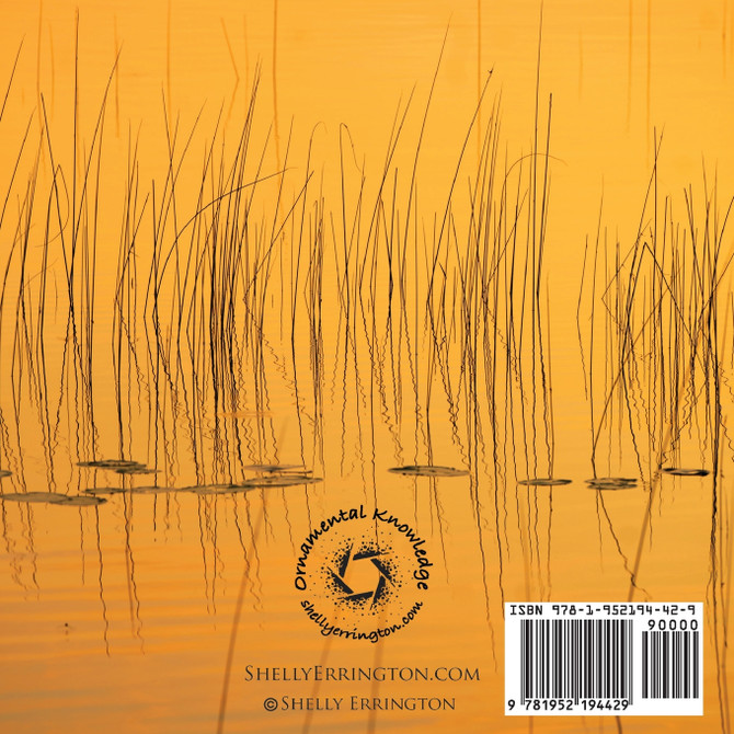 What's This Gadget For?