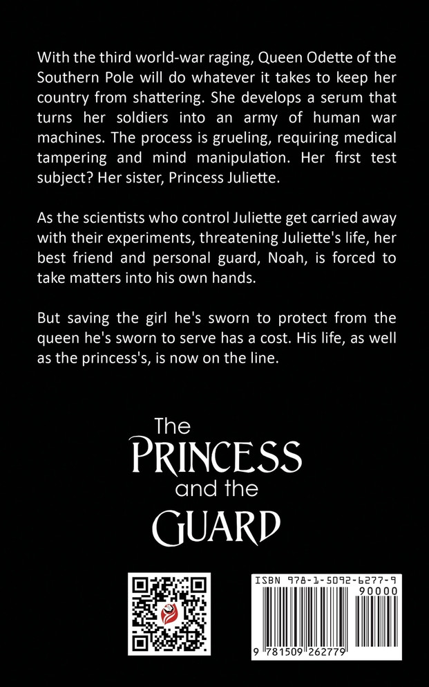 The Princess and the Guard