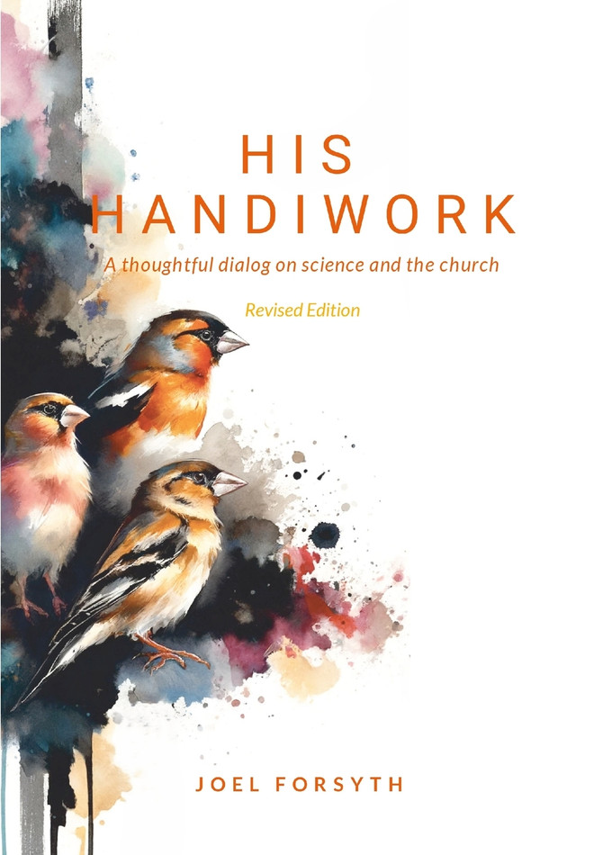 His Handiwork by Joel Forsyth (Paperback)