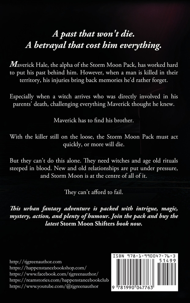 Dark Heart : Paranormal Mysteries by TJ Green (Paperback)