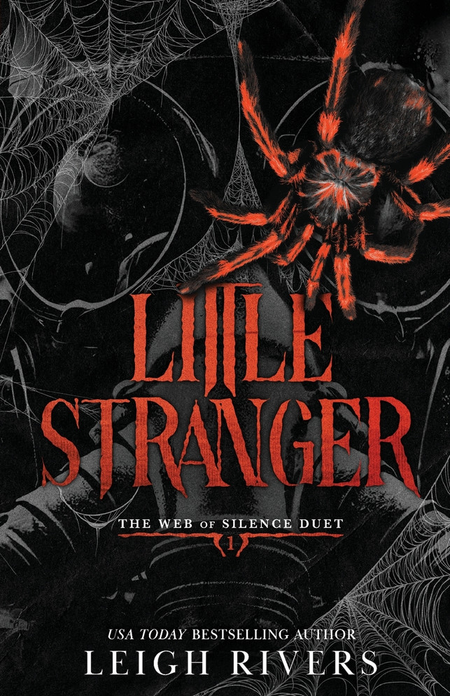 Little Stranger : A Dark Taboo Romance by Leigh Rivers (Paperback)