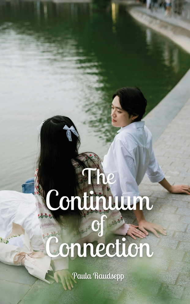 The Continuum of Connection by Paula Raudsepp (Paperback)