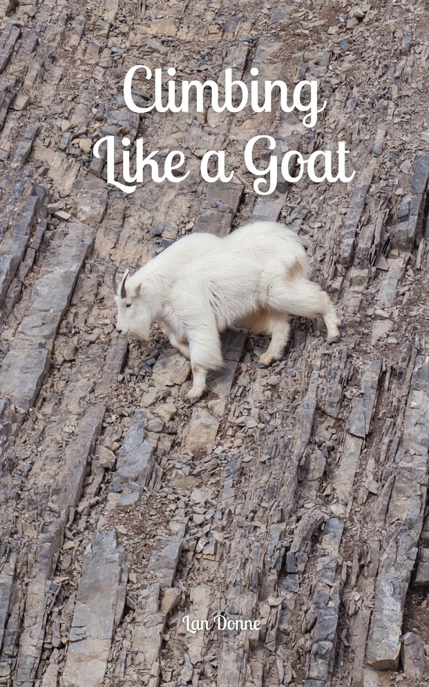 Climbing Like a Goat by Lan Donne (Paperback)