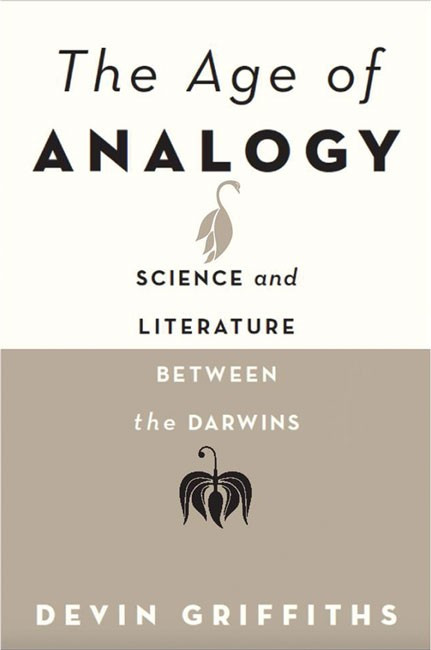 The Age of Analogy