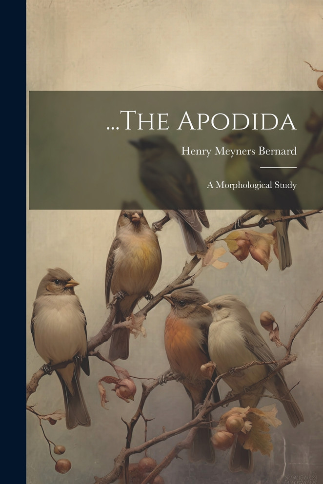 ...The Apodida : A Morphological Study by Henry Meyners Bernard (Paperback)
