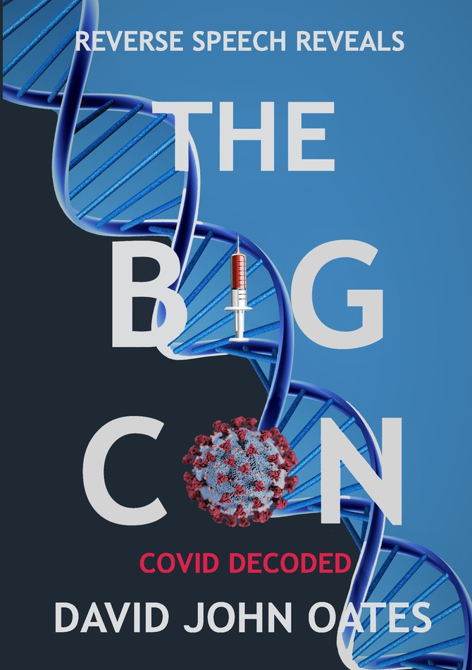 THE BIG CON by DAVID JOHN OATES (Paperback)