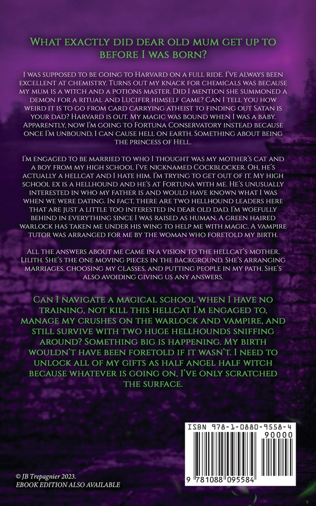 Fire and Brimstone : A Paranormal Reverse Harem Romance by JB Trepagnier (Paperback)