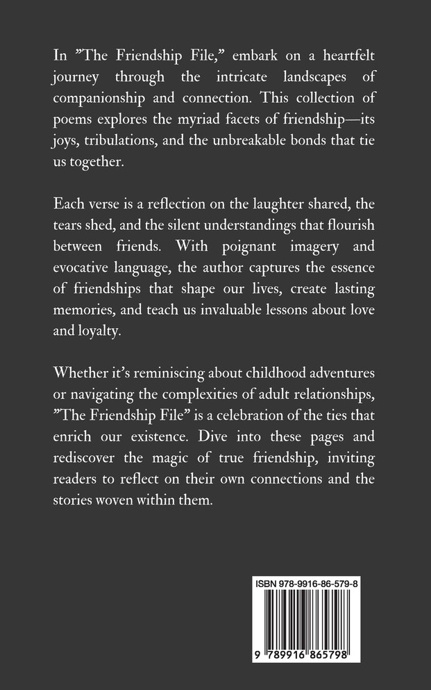 The Friendship File by Johan Kirsipuu (Paperback)