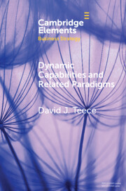 Dynamic Capabilities and Related Paradigms by David J. Teece (Paperback)