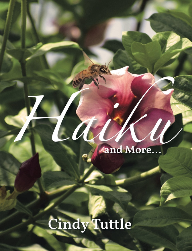 Haiku and More by Cindy Tuttle (Hardcover)