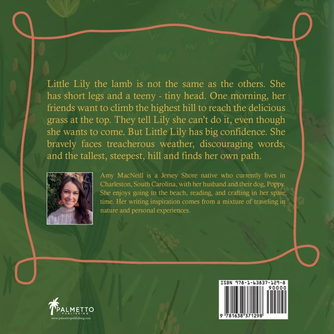 Little Lily's Big Adventure by Amy MacNeill (Paperback)