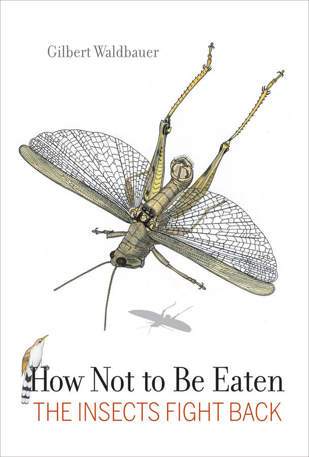 How Not to Be Eaten by Gilbert Waldbauer (Paperback)