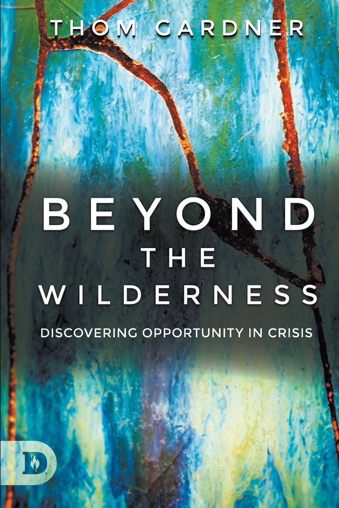 Beyond the Wilderness by Thom Gardner (Paperback)