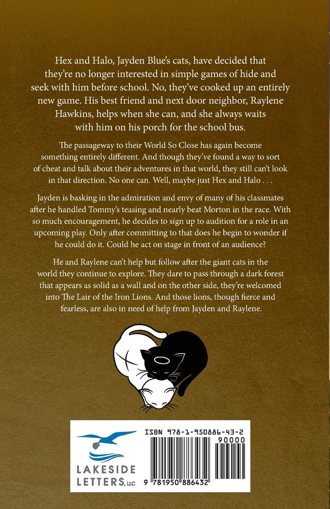 Jayden Blue and The Lair of the Iron Lions by Edward Allen Karr (Paperback)